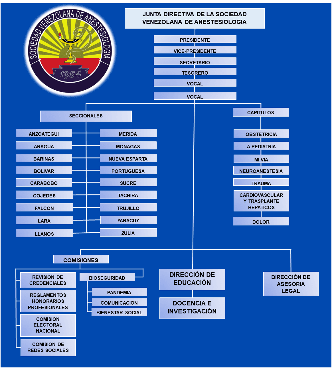 Organigrama SVA 2025